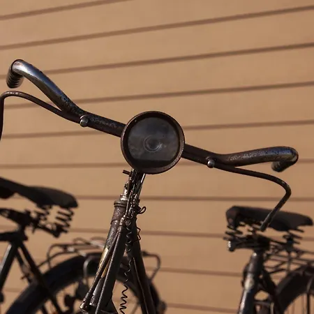 Be And In Nature * Ovar