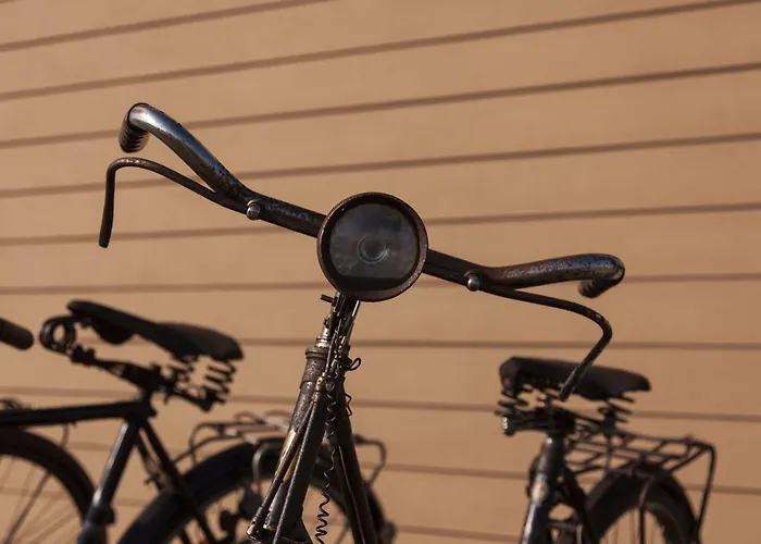 Be And In Nature * Ovar