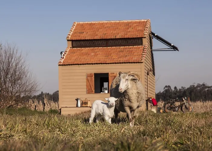 Be And In Nature * אובאר